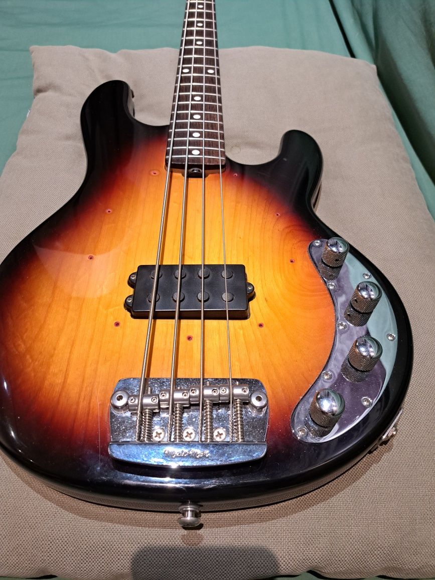 Music Man  String Ray z case.