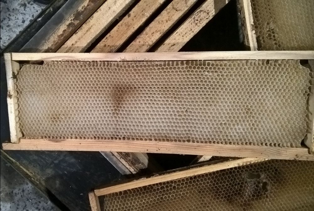 Сушь пчелиная (рамки сотовые) 145мм - 10шт.