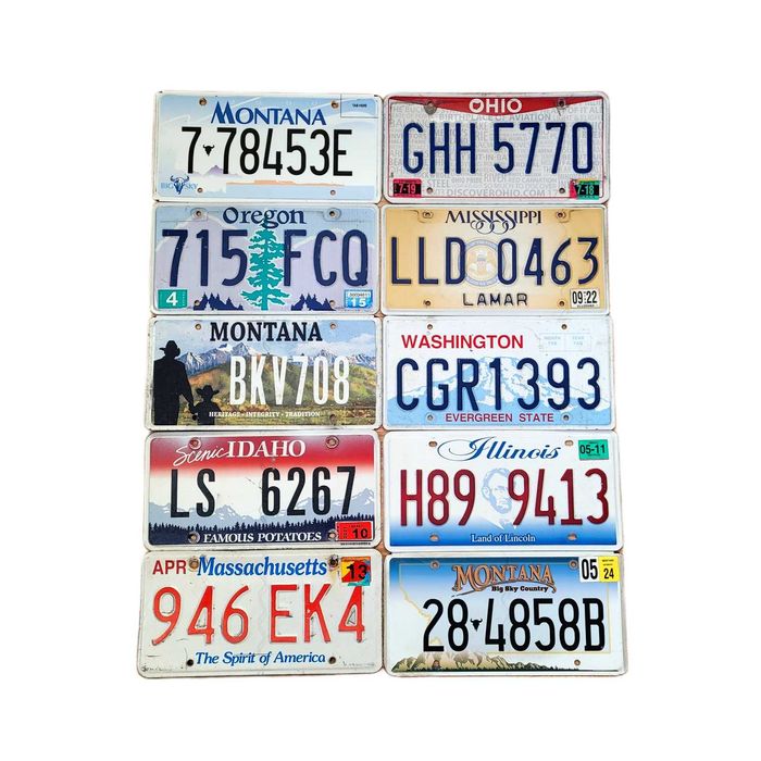 10 oryginalnych tablic rejestracyjnych z USA