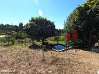 Quinta Rural - Rio Maior ***RIOMAGIC***