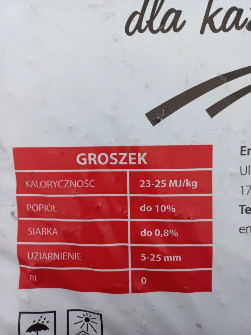 Groszek popularny, worki 25kg