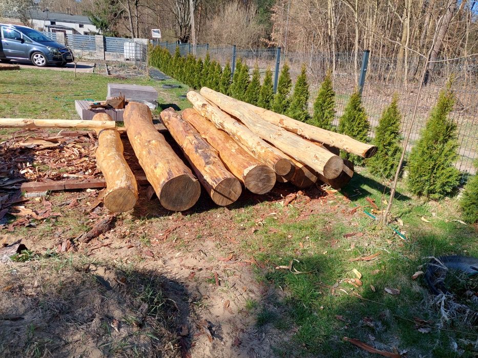 Bale  Modrzew  okorowane