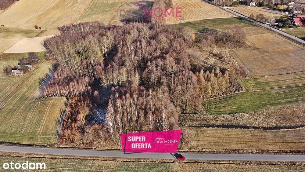 Sprzedam działkę w Olimpowie