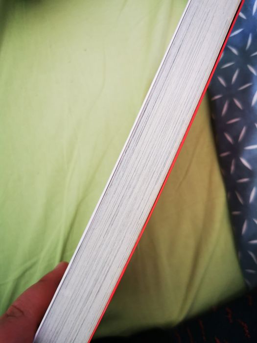 Fikołki na trzepaku Małgorzata Kalicińska