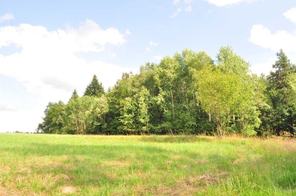 Sprzedam działkę budowlaną