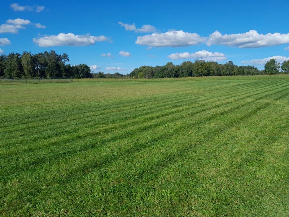 Sprzedam 1 z 3 działek budowlanych koło Białogardu