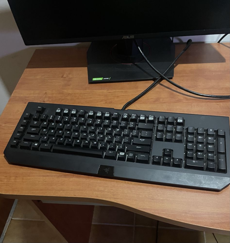 Setup Gaming Asus