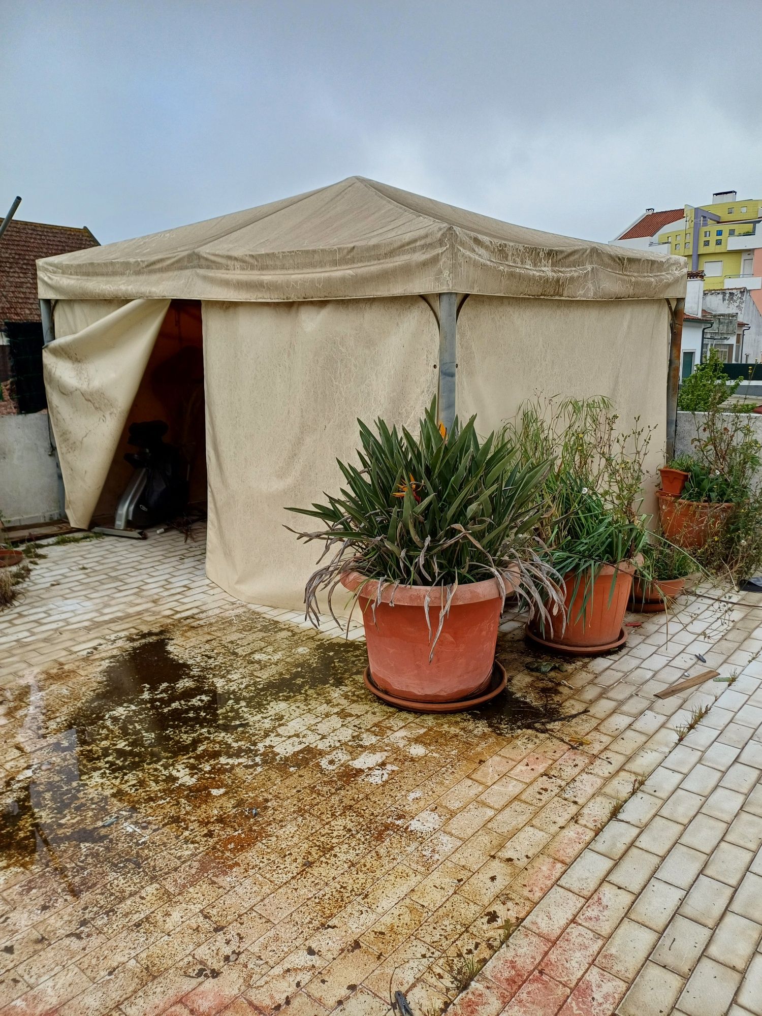Toldo de Jardim/Camping