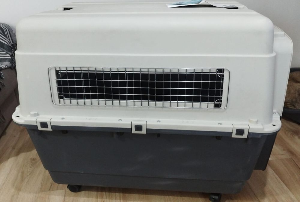 2 caixa de transporte xxL