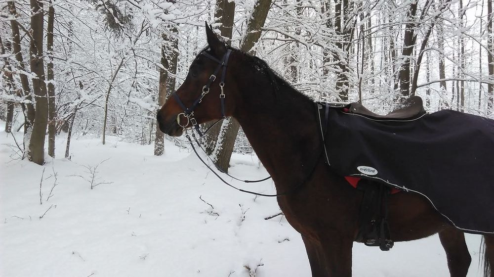 Derka wycięta przeciwdeszczowa ocieplana