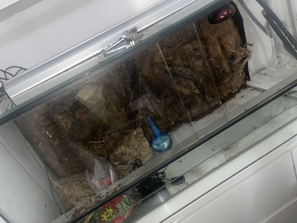 Terrário para repteis