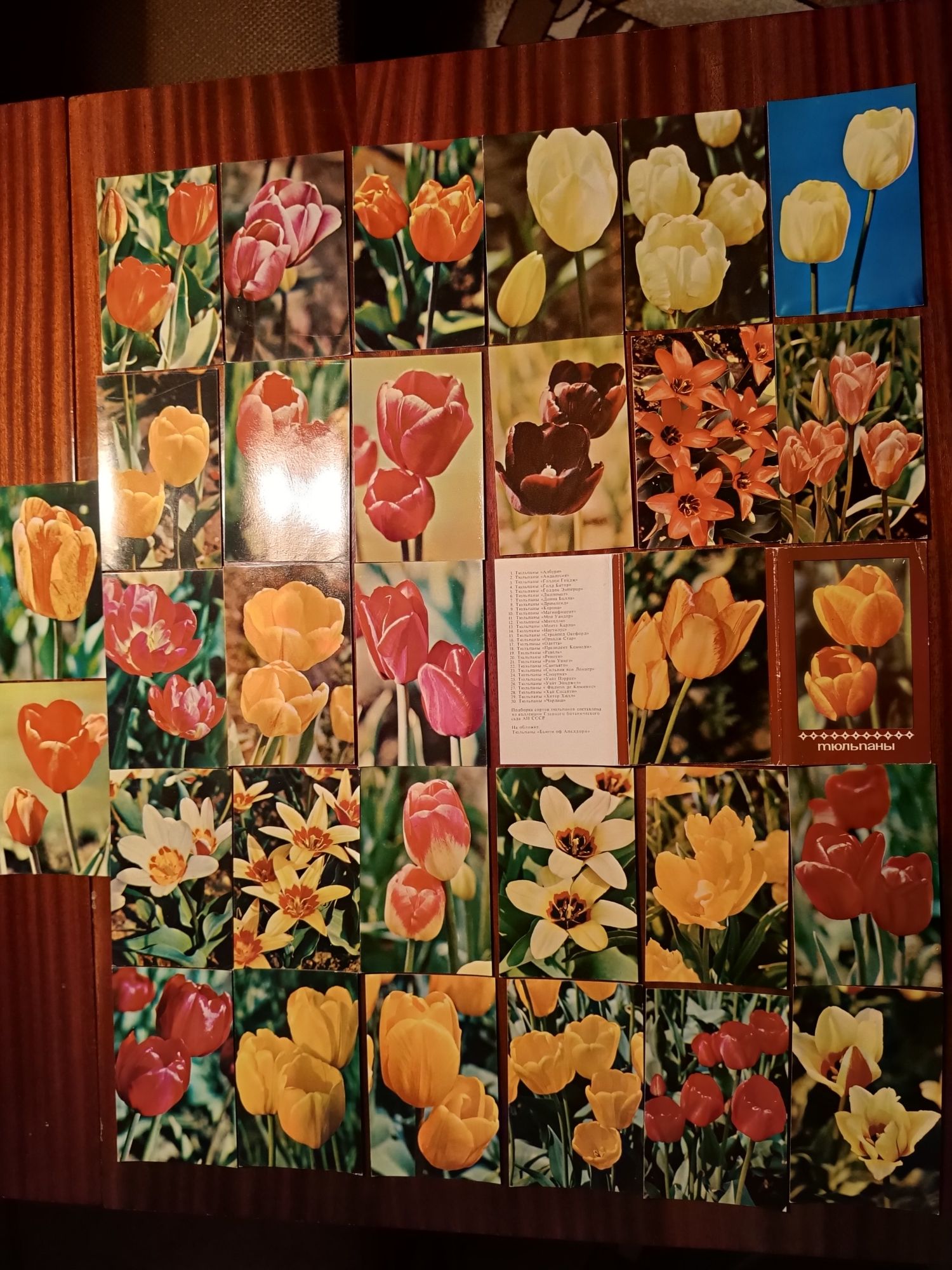 Открытки.Почтовые карточки СССР."Цветы"