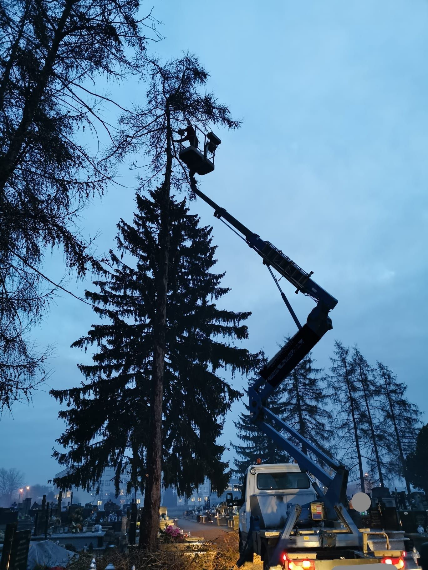 Wycinka,przycinka drzew, krzewów