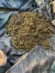 Obornik koński 1000kg czysty bez słomy 1zł/1kg