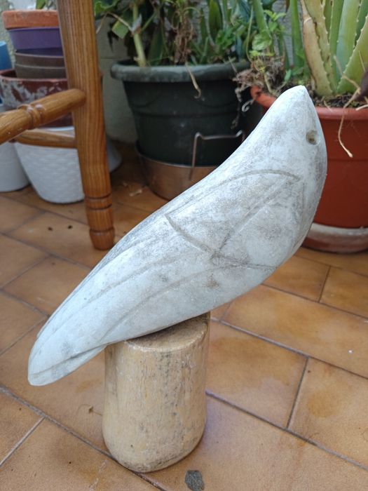 Papagaios em marmor estátua antiguidade