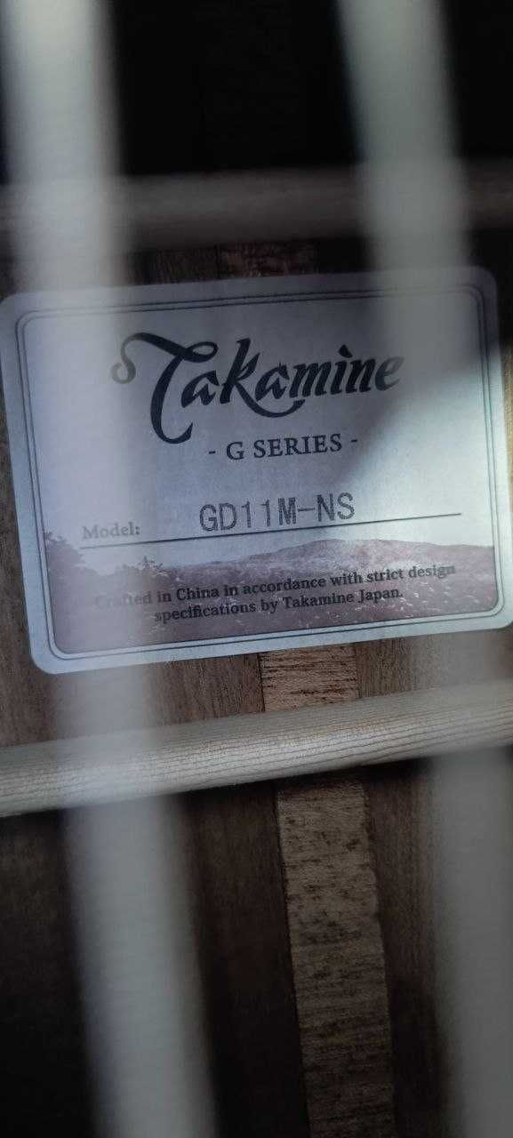 Guitar Takemine GD11M-NS