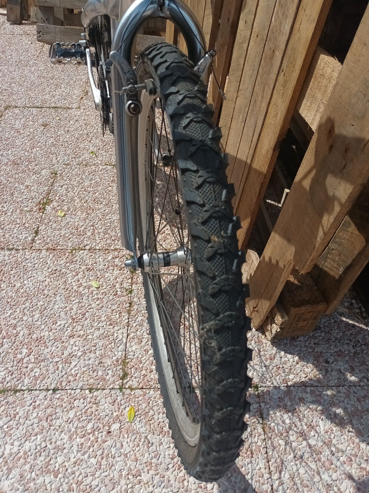 Bicicleta Esmaltina