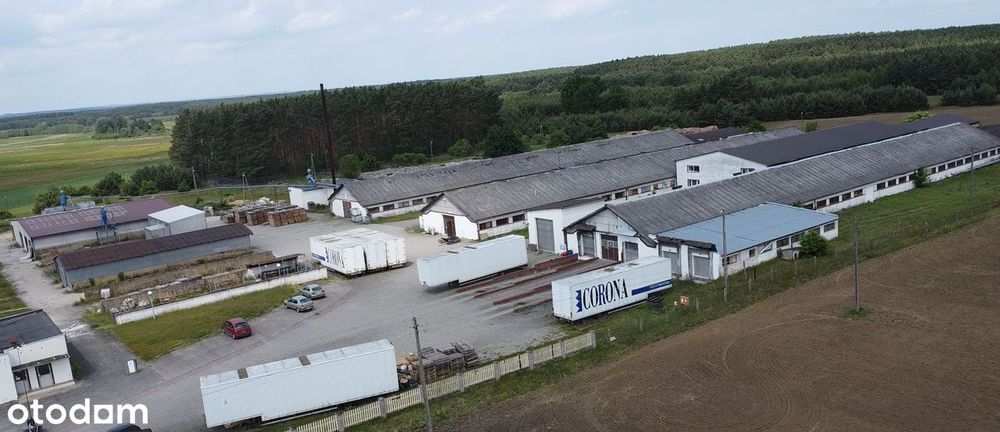 Syndyk sprzeda budynki, urządzenia, prawo użytkowania wieczyst. gruntu