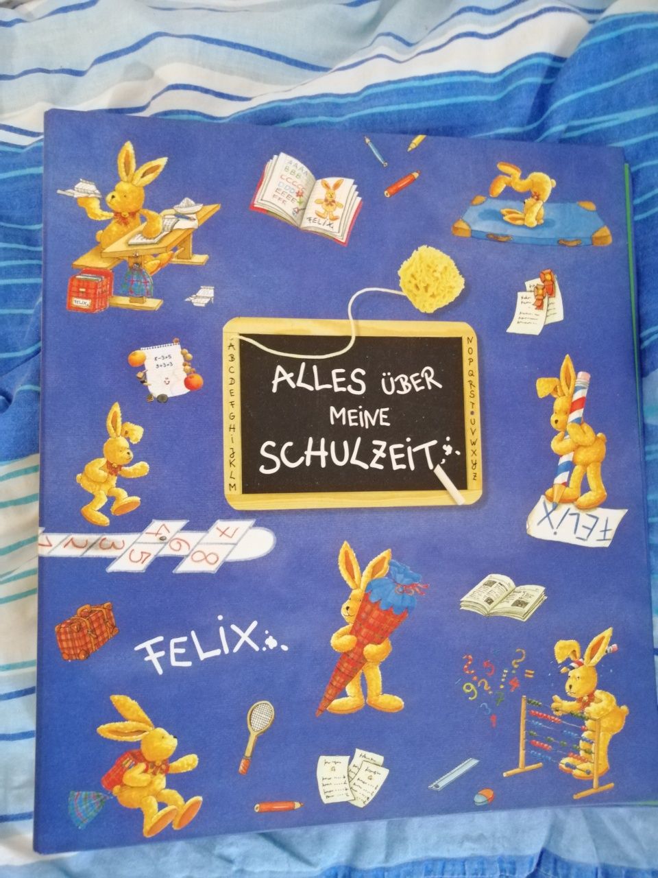 Segregator Felix królik
