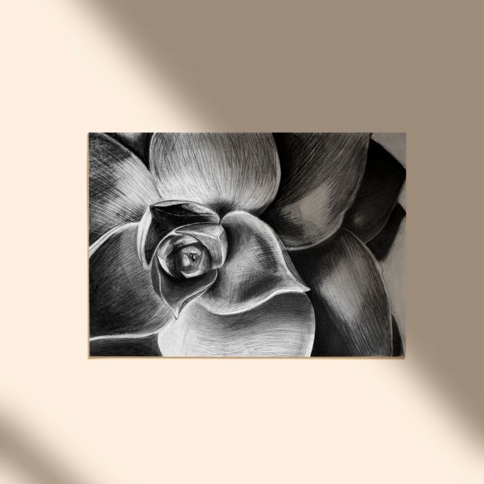 Obraz, rysunek węglem 50x70 cm, botaniczny motyw, bez ramy