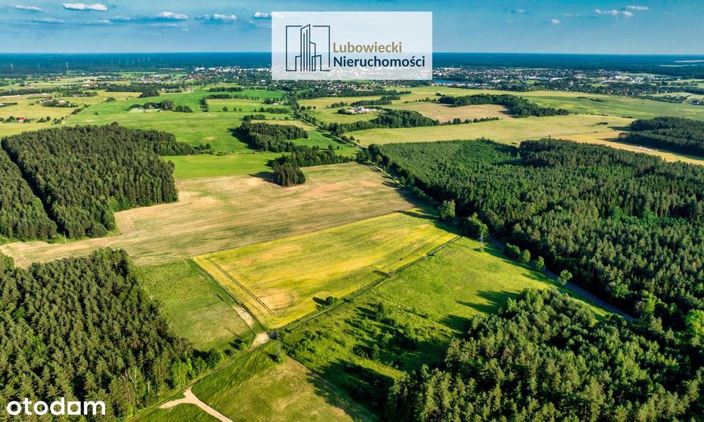 Kompleks działek w Dębówku