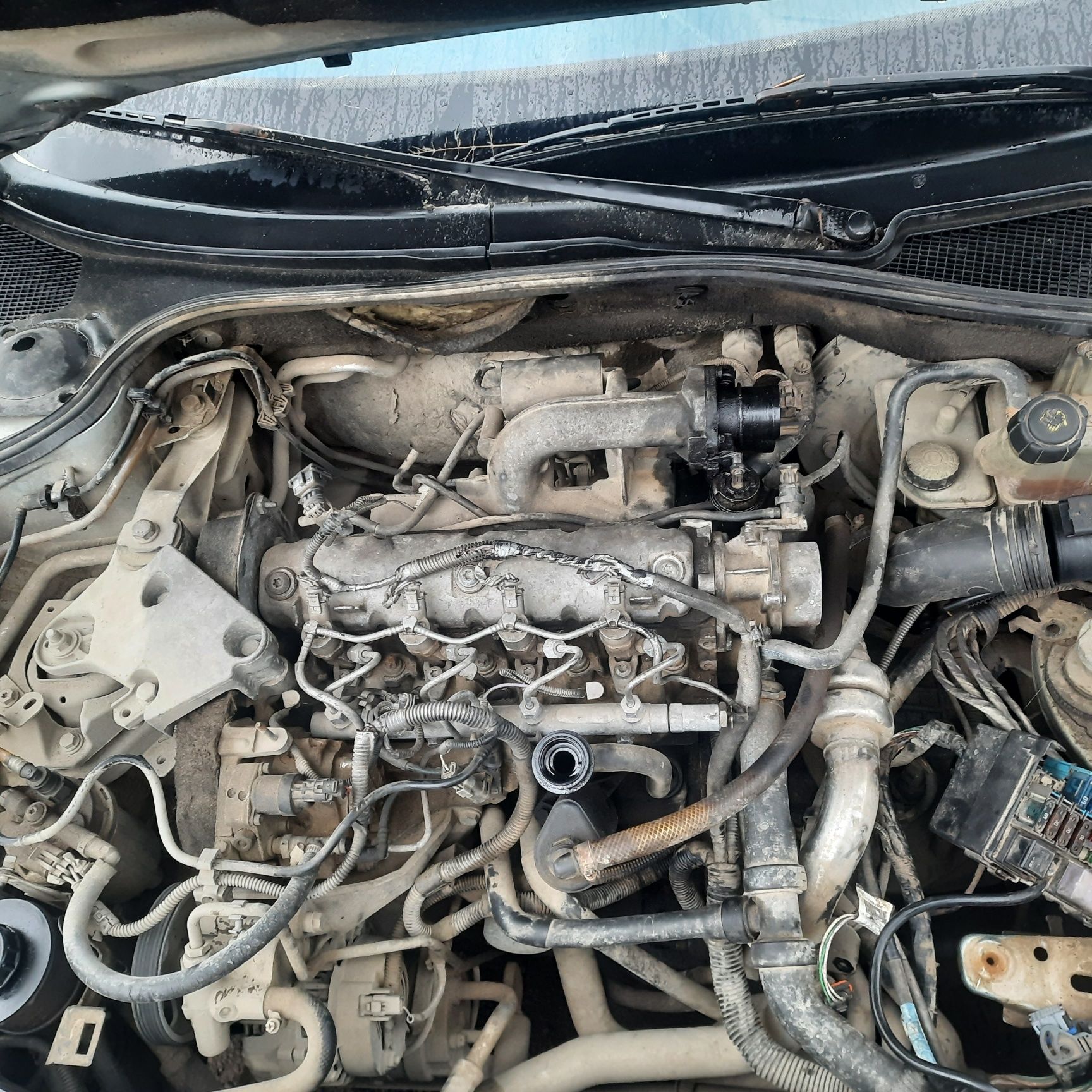 двигун Двигатель F9Q 674 750 650 670 Renault Laguna 2 Megane Scenic