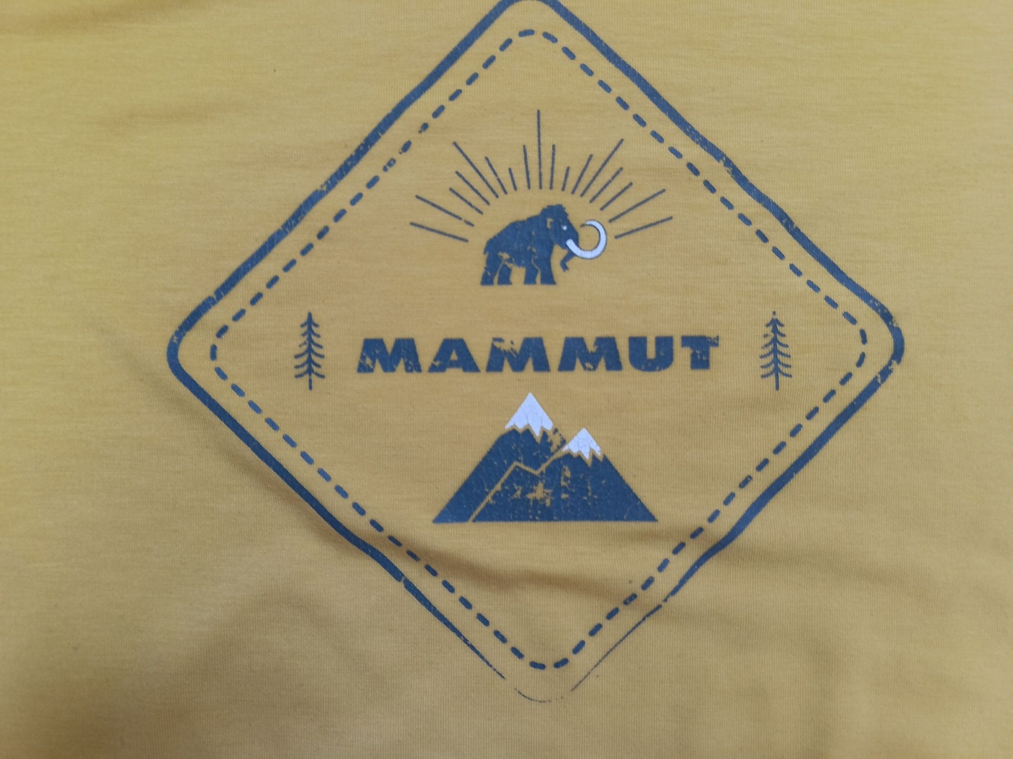 Футболка MAMMUT Розмір М