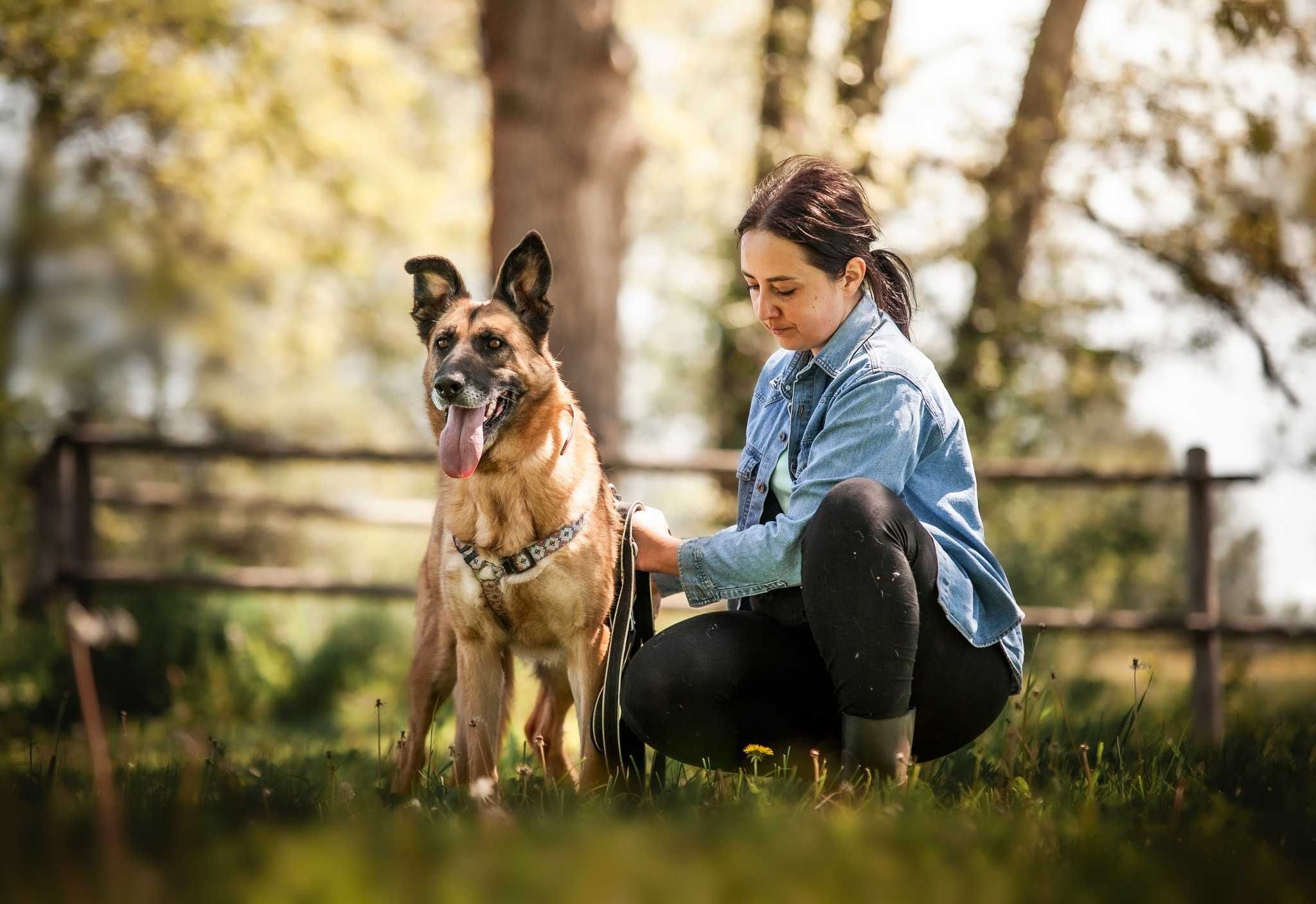 Bogini Wenus jak owczarka co kocha mizianie po brzuszku ADOPCJA