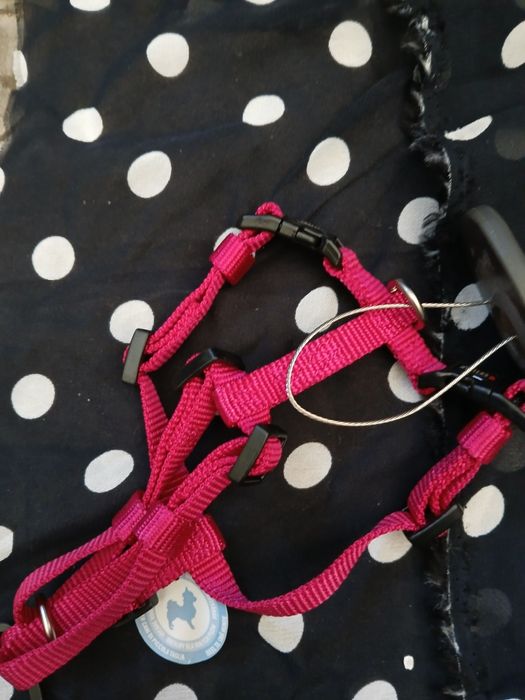 Szelki wolters xs 25-35cm