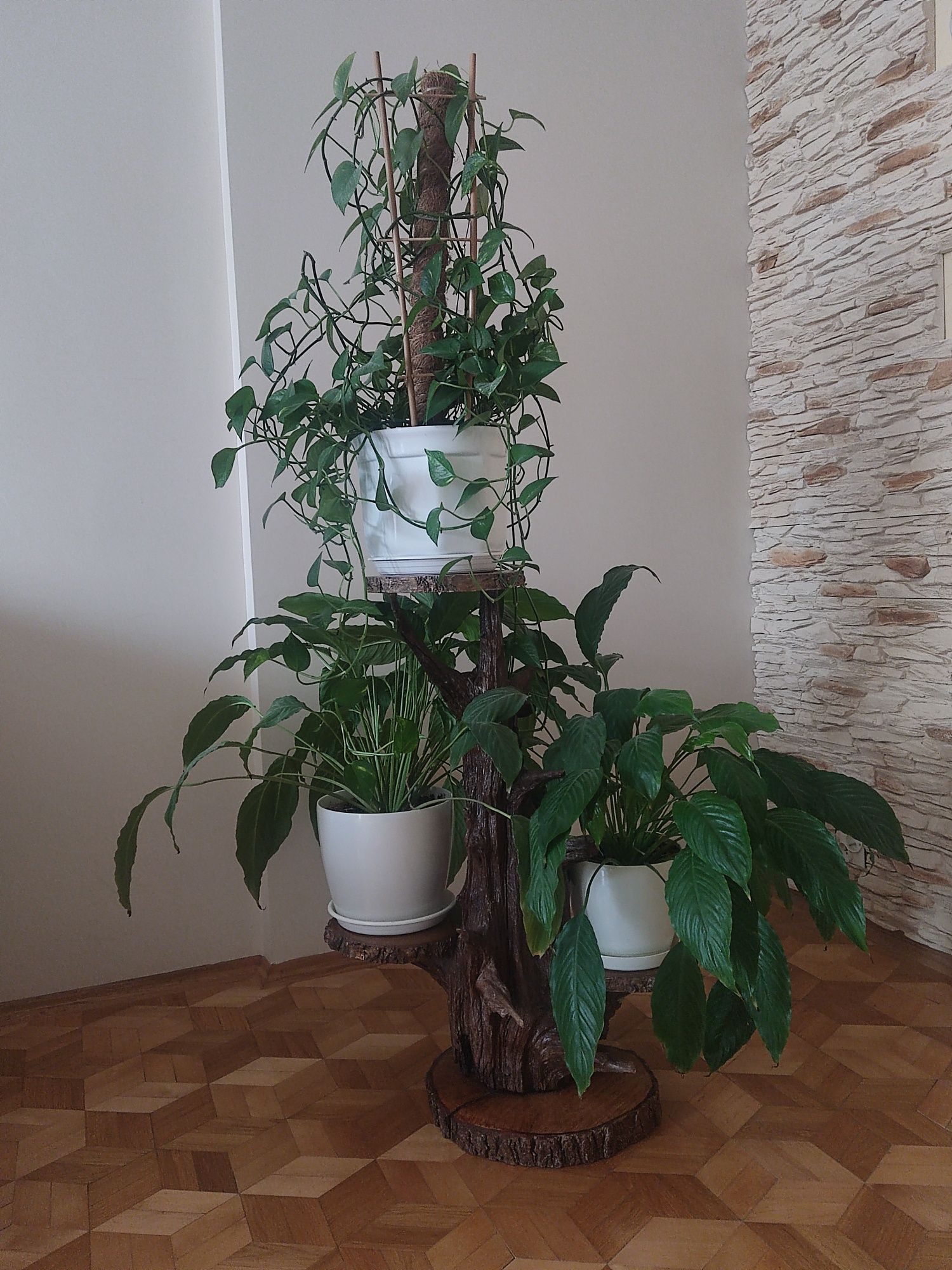 Kwietnik z korzenia drzewa