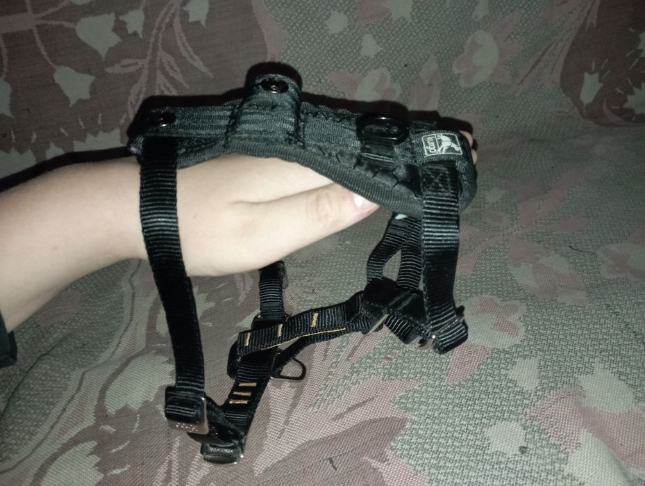 Шлейка для собак продажа или обмен