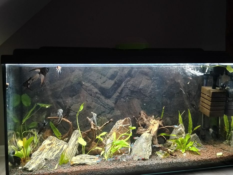 Akwarium 200l + zestaw.