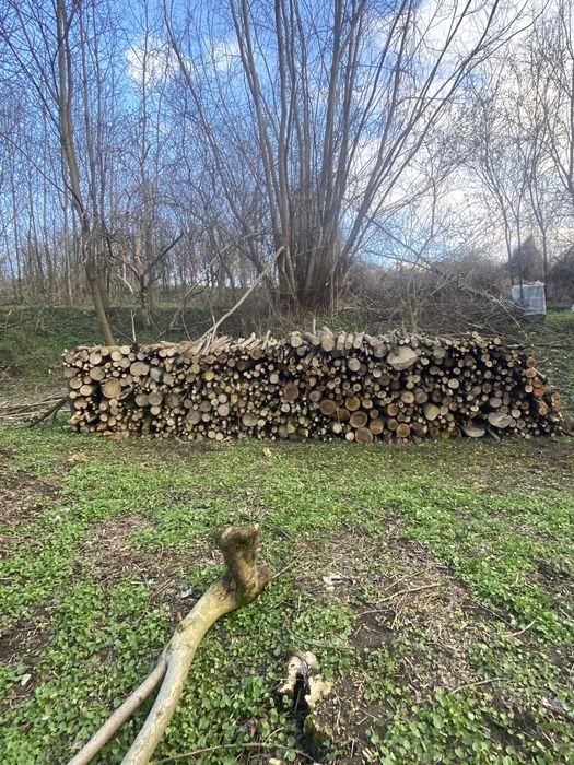 Drzewo opałowe na metry