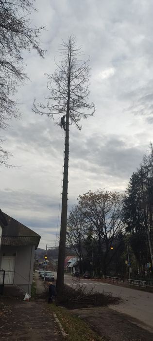 Пропоную послуги з видалення, вирізки, вирубки, валки аварійних  дерев