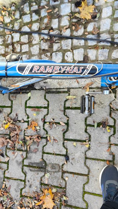 Rower Rambynias varias