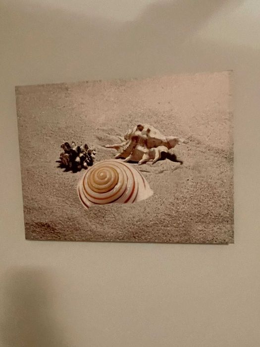 Quadros + almofadas decoração