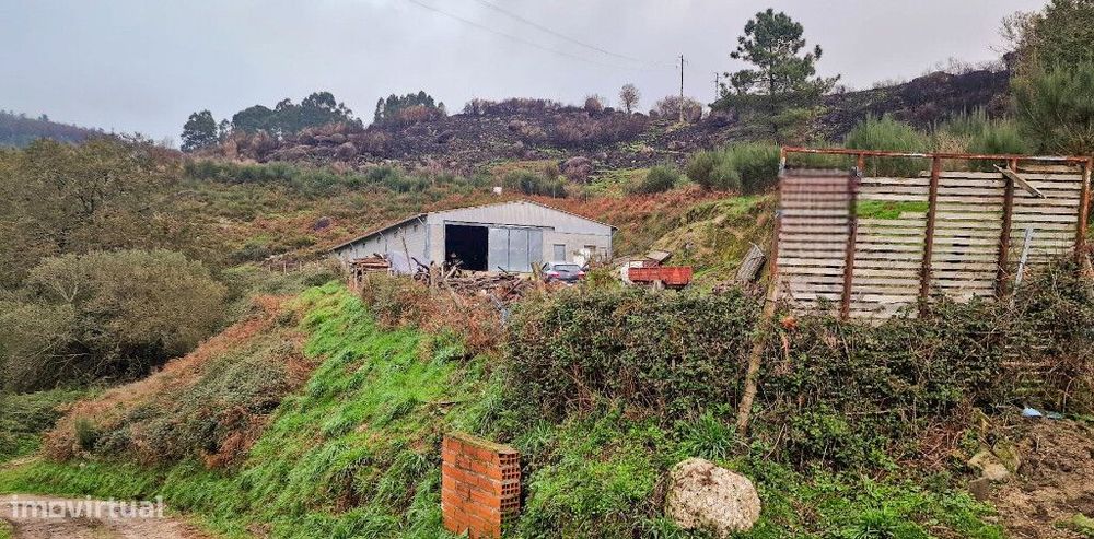 Armazém Industrial c/ Terreno - Cantelães