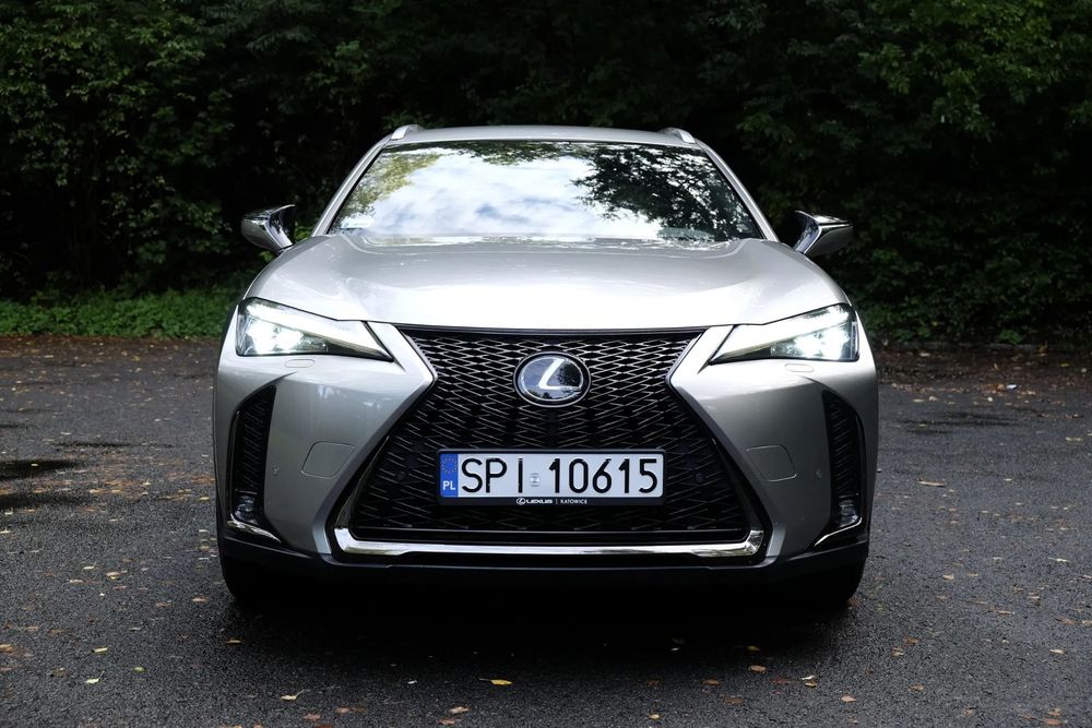 Lexus UX Lexus UX 200 F-Sport 2019, niski przebieg.