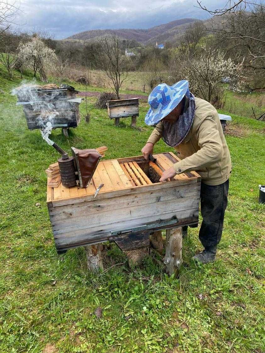 Продам продукцію бджільництва