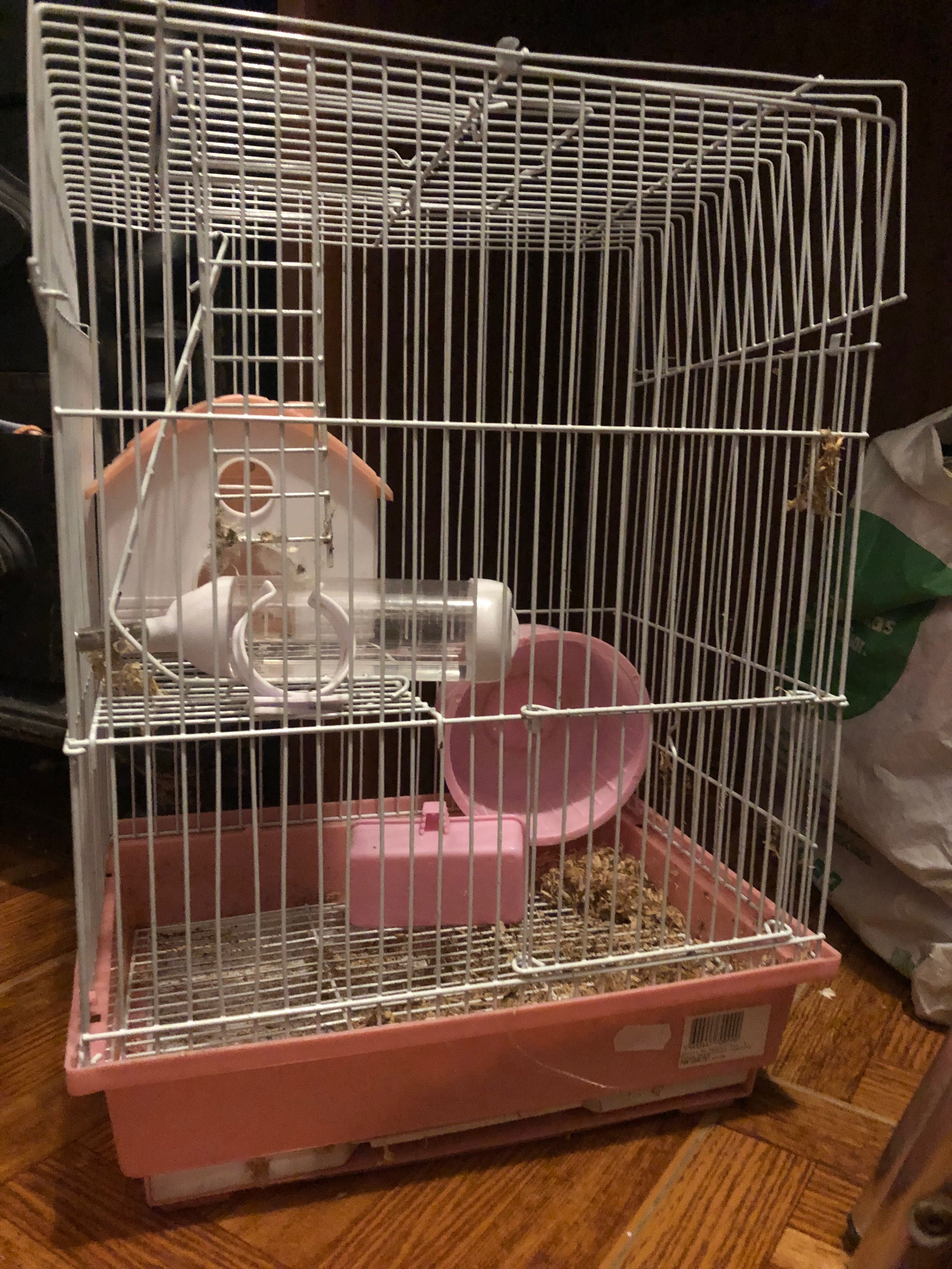 gaiola de hamster completa + ração