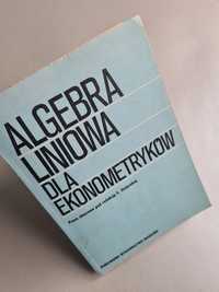 Algebra liniowa dla ekonometryków - Książka