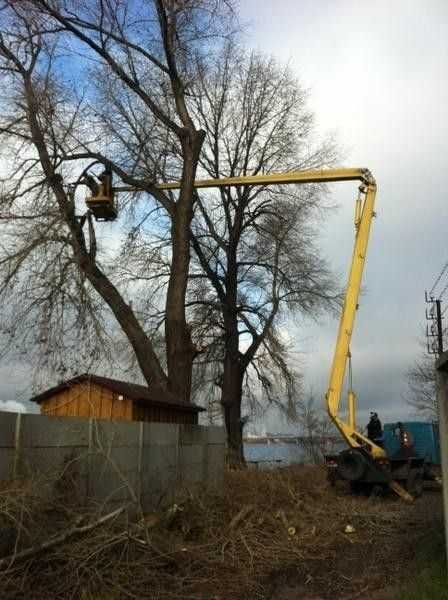 Зрізаємо дерева,зрізка,срезка,обрізка,порізка,зрізання дерев