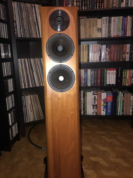 Audio Physic Avanti 3