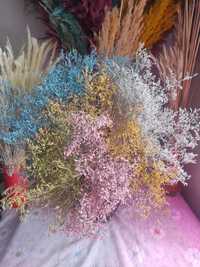 Сухоцвіти   Сухоцветы кермек трансформетр Жемчужница гіпсофіла