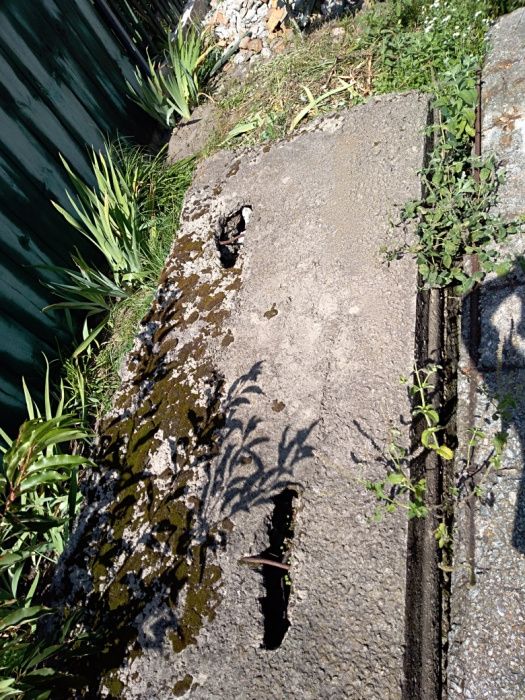 Продаю Плиты бетонные