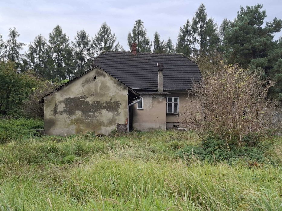 dom i zabudowania gospodarcze