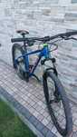 Kelly's Spider 30
