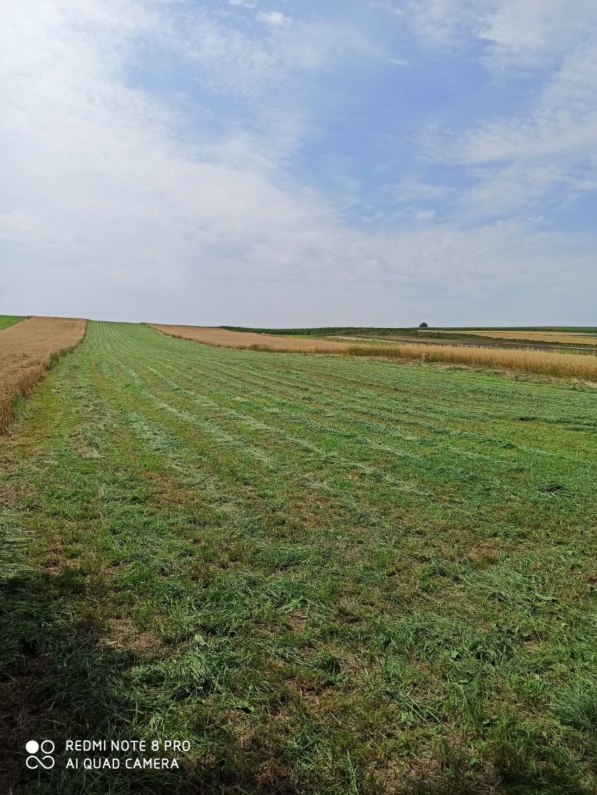 Sprzedam siano mieszanka lucerki i trawy