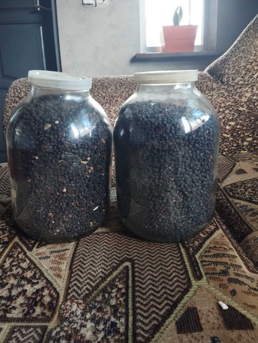 Чорниця сушена , Є 10кг ціна 1800грн кг