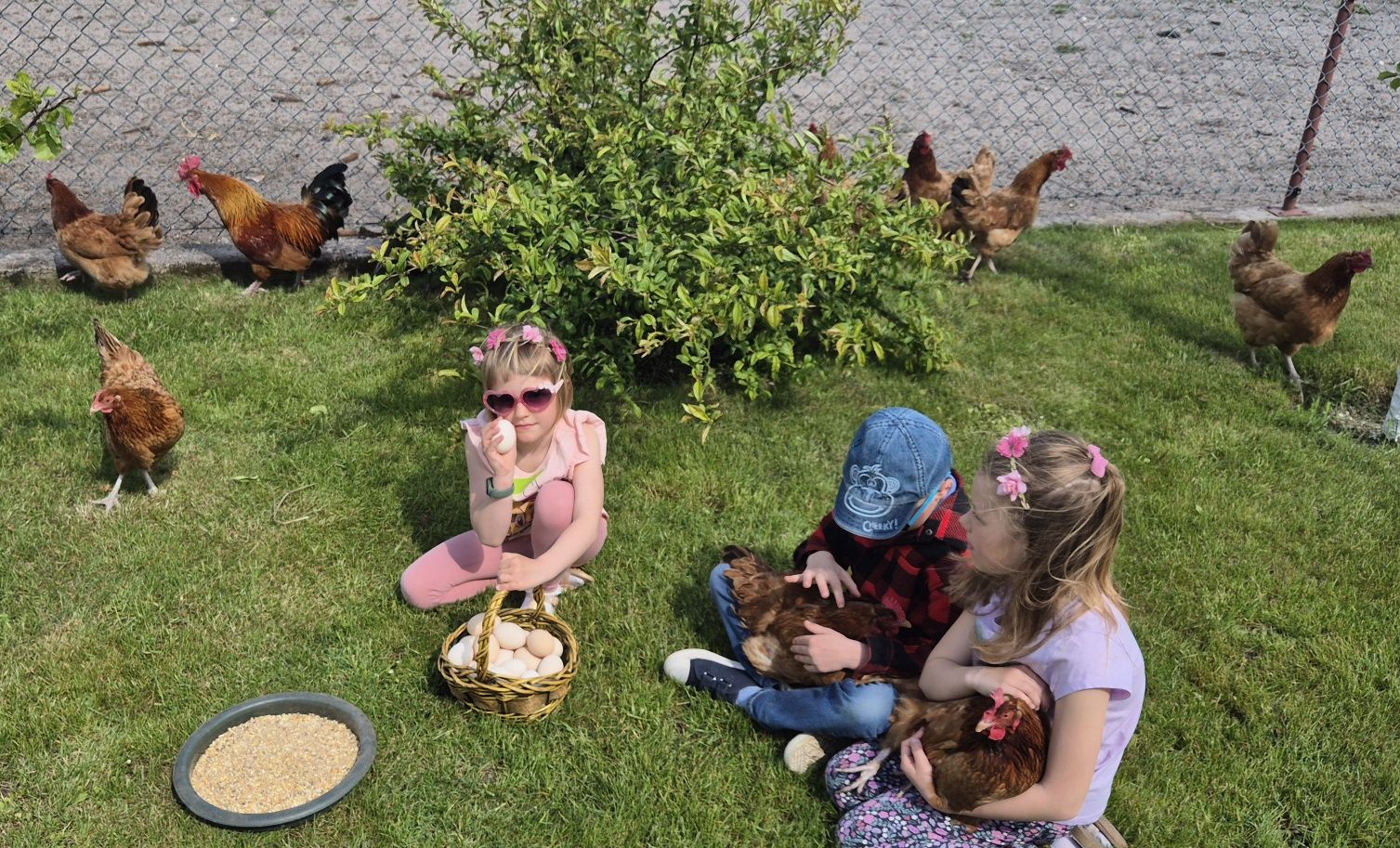 Pokoje gościnne nad morzem - AGROTURYSTYKA blisko Karwi